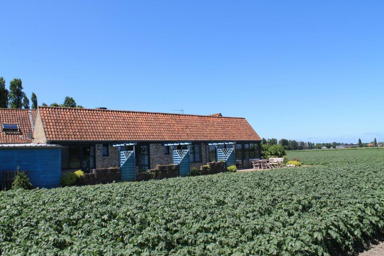 Ateljee Devlaux Bed & Breakfast Veurne Bagian luar foto